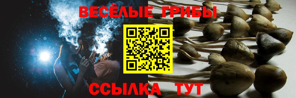 Псилоцибиновые грибы прущие грибы  Вход с VPN  Фурманов  Псилоцибиновые грибы ЛСД 